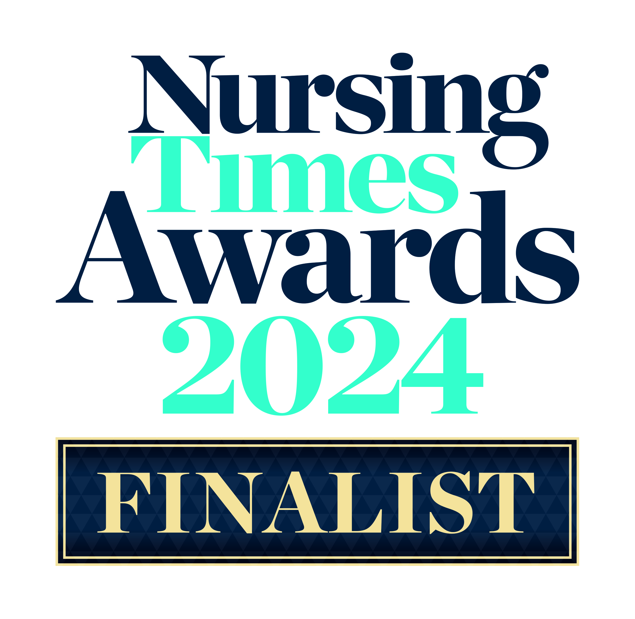 NT Awds 24 Logo - Finalist - OUTLINE