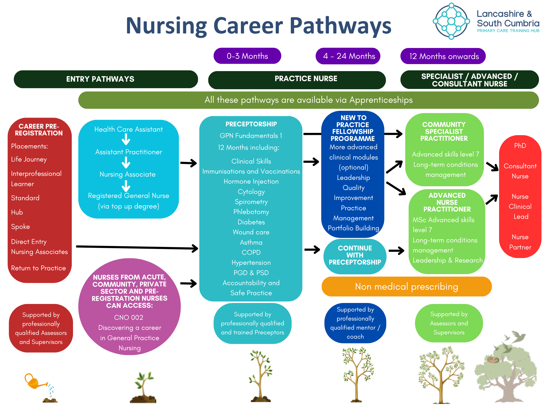 Copy of Preceptorship Career Pathways with apprenticeships